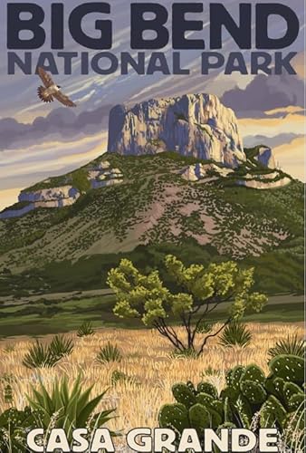 2000-teiliges Big Bend-Kunstposter-Puzzle für Erwachsene, lustiges Spiel, Spielzeug, Lernspiel, Qw93Zp, 70 x 100 cm von DZOEU
