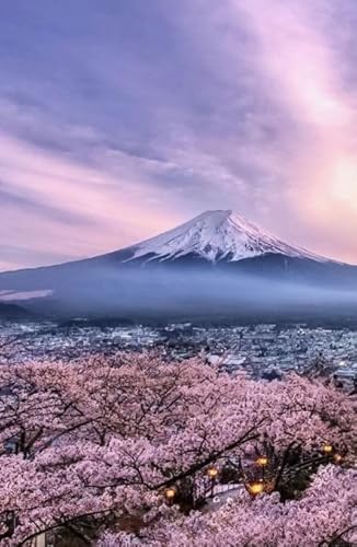 2000-teiliges Puzzle, japanische Landschaft, Wandkunst, Poster für Spielzeug für Erwachsene, Dekompressionsspiel, Gt240Zw, 70 x 100 cm von DZOEU