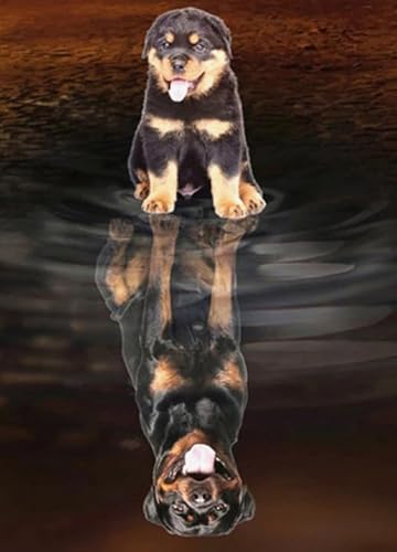 Puzzle 1000 Teile Tiere Hundeposter Für Erwachsene Familien Puzzle Spielzeug Dekompressionsspiel Qz11Yk 52x38CM von DZOEU