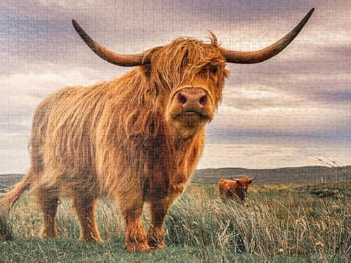Puzzle 2000 Teile Tierkühe Poster Für Erwachsene Familienspiele Lernspielzeug Qw60Zp 70x100CM von DZOEU