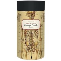 Anatomie Puzzle 1000 Teile von Da capo Entertainment GmbH