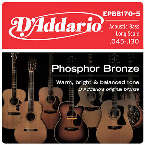 D&#39;Addario EPBB170-5 .045-130 Saiten Akustikbass von Daddario