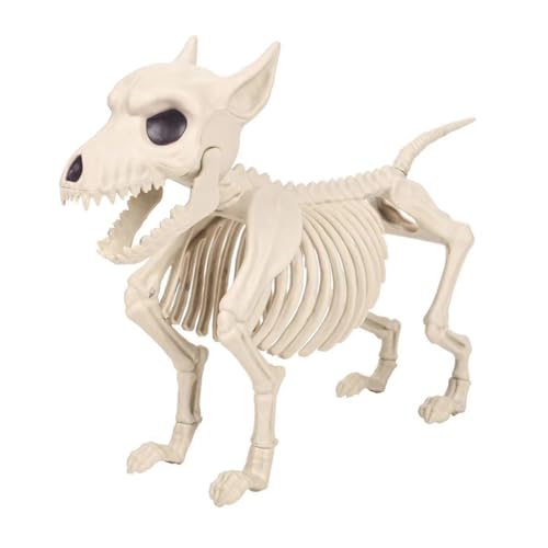 Daijianbin Halloween-Dekoration mit Hundeskelett - Bewegliche Tierskelette mit Beweglichen Gelenken, Halloween-Dekoration Daijianbin Halloween-Dekoration mit Hundeskelett - Bewegliche Tierskelette mit Beweglichen Gelenken, Halloween-Dekoration von Daijianbin