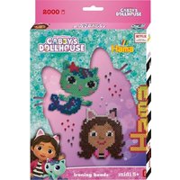 Hama Bügelperlen Kreativset GABBY'S DOLLHOUSE 2000 Perlen von Dan Import
