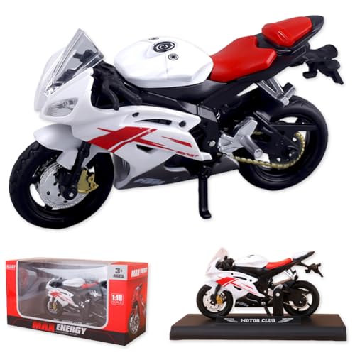 Danbghyuo Motorrad Spielzeug für Kinder,Friktion & beweglicher Fahrer-Figur,Motorrad Modell spielzeugs Mini Moto Geschenk,Spielzeug-Motorrads für Kinder Weihnachten GeburtstagParty Geschenke (White) von Danbghyuo