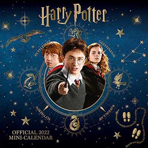 Danilo Calendar - Harry Potter 2022 Mini Calendar von Danilo Promotions LTD