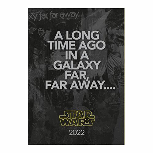 Official Star Wars 2022 Diary - Week To View A5 Size Diary (The Official Star Wars A5 Diary 2022) von Danilo