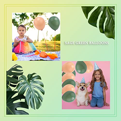 Dariokki Salbeigr¨¹Ner Ballon Girlandenbogen Satz,Enthalten Sie Eukalyptus, Wei?-, Goldkonfetti Ballons und Gr¨¹N f¨¹r die Baby Party von Dariokki