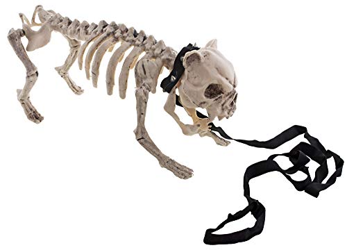Das Kostümland Gruseliger Skelett Hund mit Leine - Echt wirkende Halloween Dekoration eines kleinen Hundes Das Kostümland Gruseliger Skelett Hund mit Leine - Echt wirkende Halloween Dekoration eines kleinen Hundes von Das Kostümland