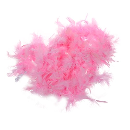 Dawafit Federboa Flauschige Dekoration 2 Meter von Dawafit