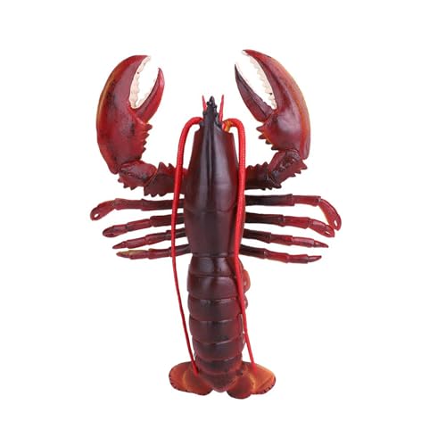 Dawutocap Realistisches Stabiles PVC Hummermodell Tragbares Accessoire Für Kindergeschenke Und Seemaltentätigkeiten Täglich Gebrauch Dawutocap Realistisches Stabiles PVC Hummermodell Tragbares Accessoire Für Kindergeschenke Und Seemaltentätigkeiten Täglich Gebrauch von Dawutocap
