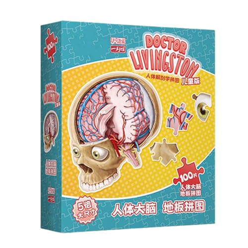 Dayysiuy Menschliches Gehirn Puzzle | 100 Teile Gehirn Puzzle Spiel,STEM Spielzeug Lernspiele Für Geburtstag Schule Familie Spaß Jugendliche Zuhause von Dayysiuy