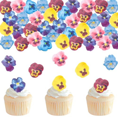 DazzJoy 60 Stück Essbare Tortendeko Blumen,Essbare Blumen für Torte,Blumen Deko Torte,Blumen Tortendeko Stiefmütterchen,Tortendeko Essbar Hochzeit,Essbare Deko Torten Blumen,Kuchen Deko Essbare DazzJoy 60 Stück Essbare Tortendeko Blumen,Essbare Blumen für Torte,Blumen Deko Torte,Blumen Tortendeko Stiefmütterchen,Tortendeko Essbar Hochzeit,Essbare Deko Torten Blumen,Kuchen Deko Essbare von Dazzjoy