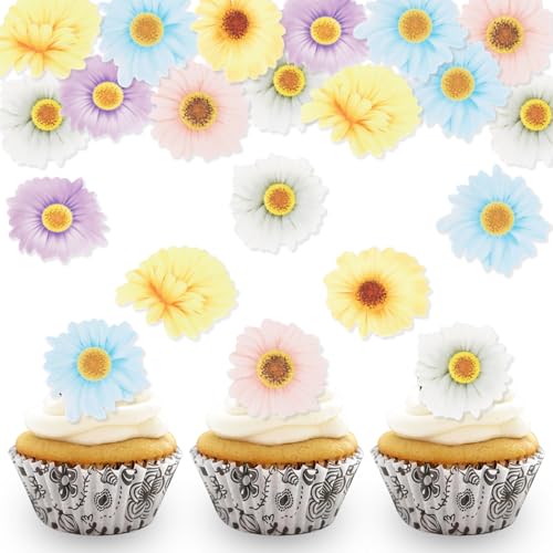 DazzJoy 48 Stk Essbare Blumen für Torte, Gänseblümchen Tortendeko, Kuchen Deko, Blüten Essbar, Hochzeit, Taufe, Geburtstag von Dazzjoy