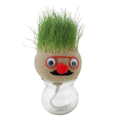 Growing Grass Heads Doll – Kleine Topfpflanzen für Büro-Dekoration, pädagogisches Geschenk für Kinder, kreatives Basteln für Kinder, Bezaubernde Bonsai-Köpfe, Graspuppe mit kleinen, Langen von Decorhome