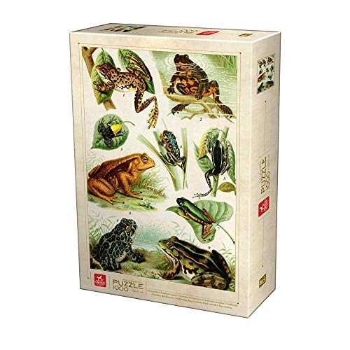 Deico Games Puzzle 5947502875703/EN 01 D-Toys Puzzle 1000 pcs Encyclopedia Frogs, Multicolor von Deico Games Puzzle