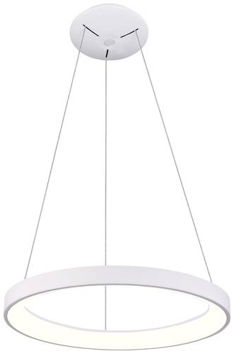 Deko Light Sculptoris 600 342193 Pendelleuchte LED LED fest eingebaut EEK: E (A - G) 42W Verkehrswei von Deko Light