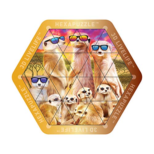 3D LiveLife Hexapuzzle - kühles Meerkats. Lentikulares Puzzlespiel 3D Meerkat mit 24 magnetischen Stücken! Magnetische Puzzlespiel-Strecke von Deluxebase. Originalvorlage genehmigt vom bekannten Künst von Deluxebase