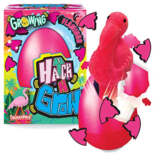 Deluxebase Hatch 'N' Grow - Flamingo 11cm großes, wachsendes und schlüpfendes Ei mit Flamingospielzeug. Legen Sie es ins Wasser um zu sehen wie Sich das magische Spielzeug verwandelt von Deluxebase