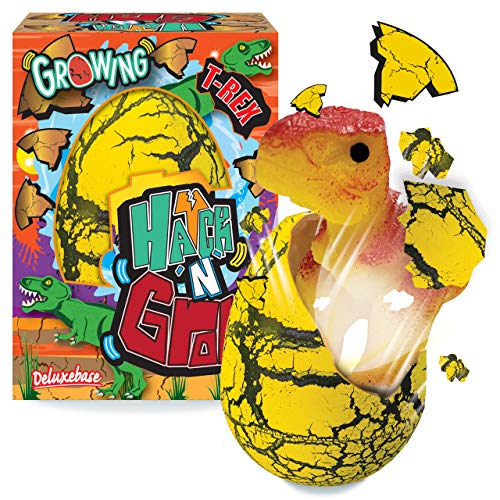 Hatch n Grow - T-Rex von Deluxebase. 11cm großes, wachsendes und schlüpfendes Ei mit Dinosaurierspielzeug. Legen Sie es ins Wasser um zu sehen wie Sich das magische Spielzeug verwandelt Hatch n Grow - T-Rex von Deluxebase. 11cm großes, wachsendes und schlüpfendes Ei mit Dinosaurierspielzeug. Legen Sie es ins Wasser um zu sehen wie Sich das magische Spielzeug verwandelt von Hatch n Grow