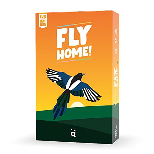 Helvetiq Fly Home | Kartenspiel | Alter 6+ | 2-4 Spieler | 30-60 Minuten Spieldauer von Demacia