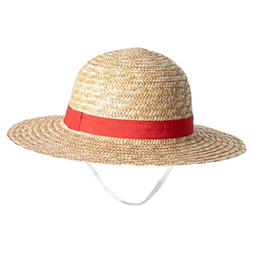Demsyeq Anime Strohhut Strohhut Kinder Anime Cosplay Hüte Sommer Sonnenkappe aus natürlichem Weizengras Cartoon Charakter Sonnenschutz Kappen Cosplay für Halloween Kostüm Party von Demsyeq