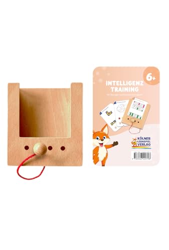 Der Lochkasten Starterset Intelligenz Training 6+ von Der Lochkasten