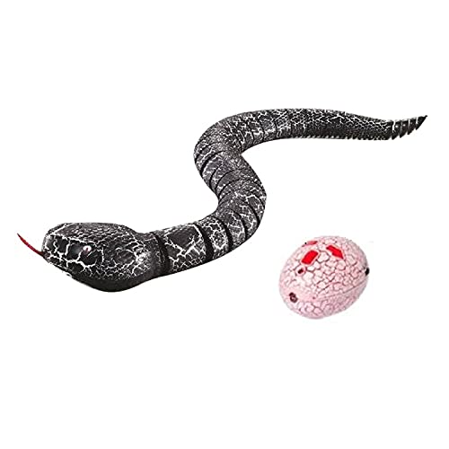 DesignerBox RC Schlangenspielzeug, 40,6 cm lang, wiederaufladbar, mit Fernbedienung, realistisch, für Geburtstagsparty, Geschenk, Schwarz DesignerBox RC Schlangenspielzeug, 40,6 cm lang, wiederaufladbar, mit Fernbedienung, realistisch, für Geburtstagsparty, Geschenk, Schwarz von DesignerBox