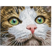 Diamond Dotz - Diamond Painting Katze mit grünen Augen von Diamond Dotz