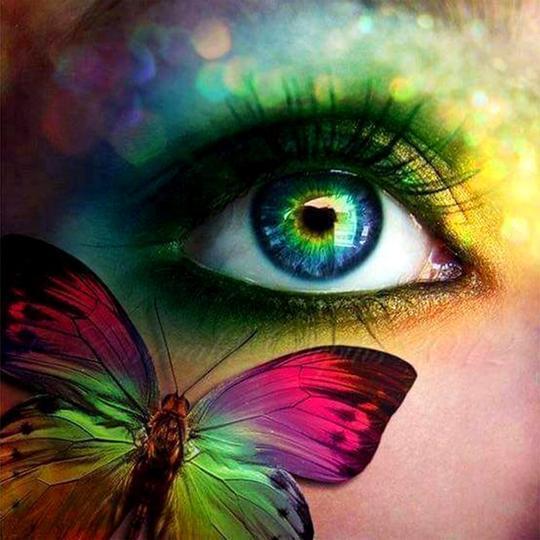 Auge mit Schmetterling von Diamond Painter