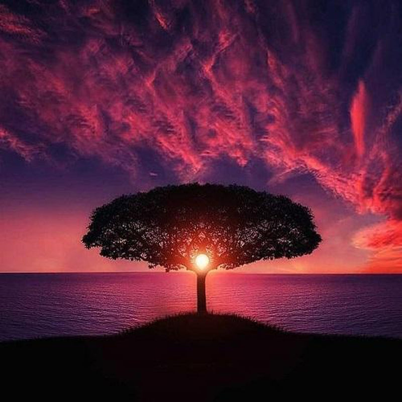 Baum bei Sonnenuntergang von Diamond Painter