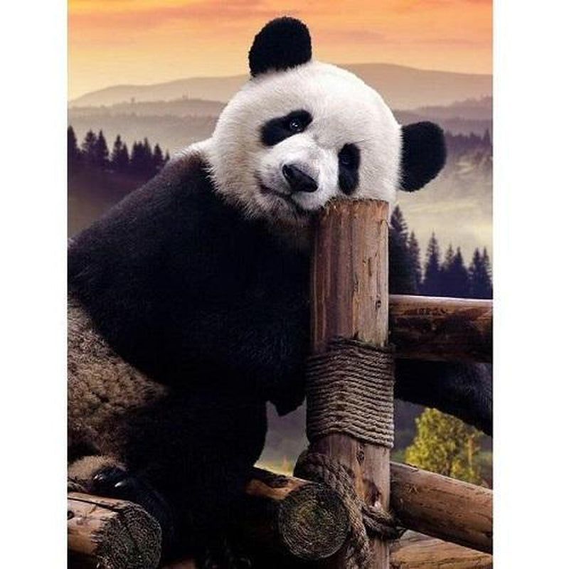 Fauler Panda von Diamond Painter