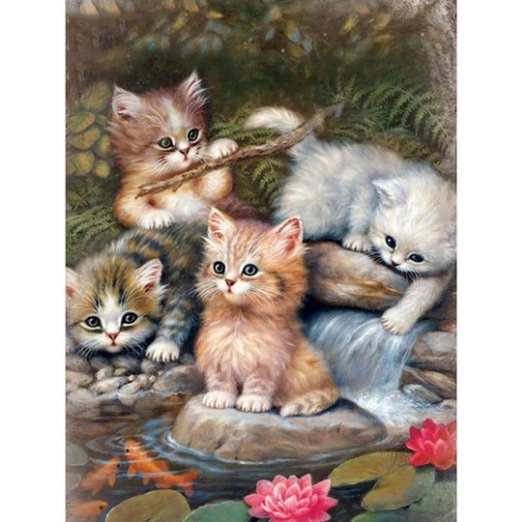 Kätzchen am Wasser von Diamond Painter