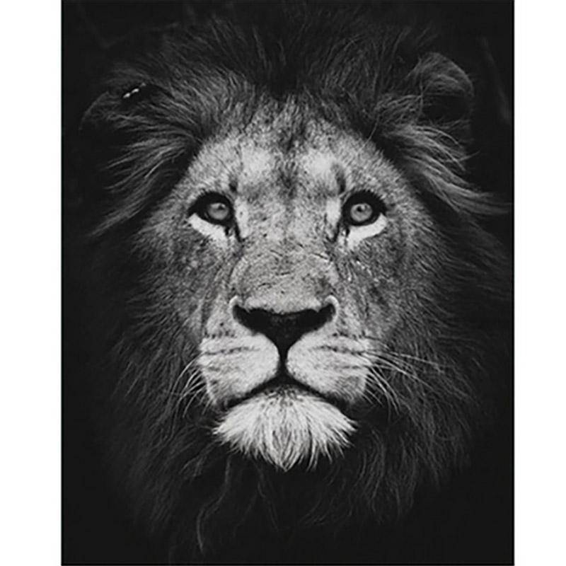 Löwe schwarz/weiß | Malen nach Zahlen von Diamond Painter