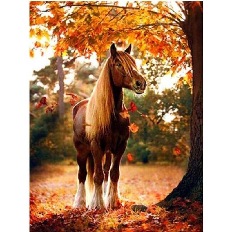 Pferd im Herbst von Diamond Painter