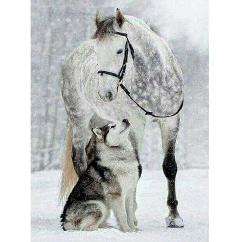 Pferd und Wolf von Diamond Painter