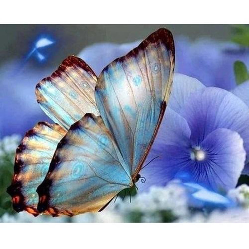 Schmetterling von Diamond Painter
