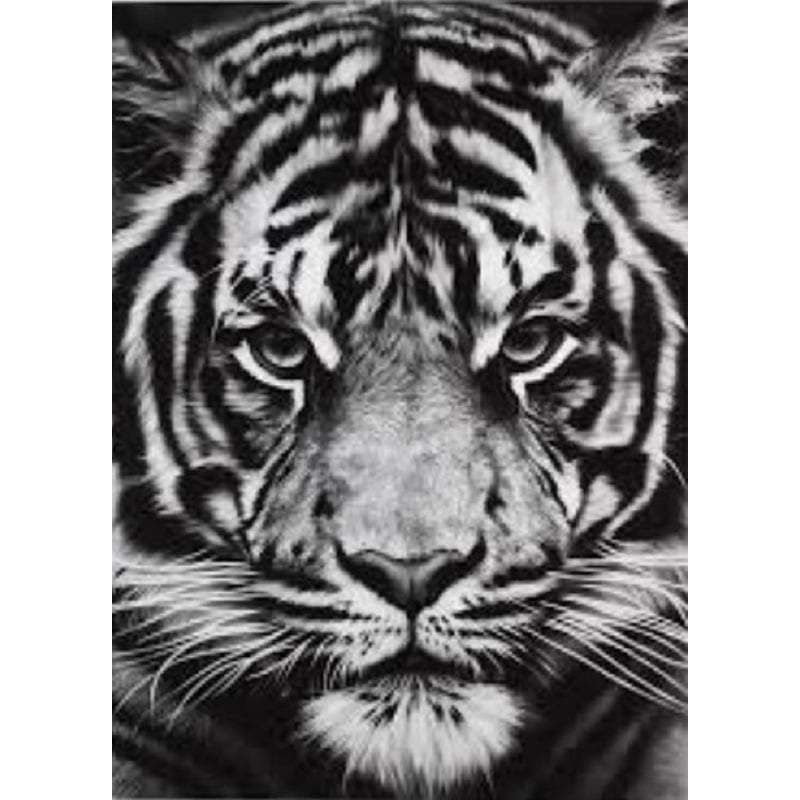 Schwarz/weißer Tiger | Malen nach Zahlen von Diamond Painter