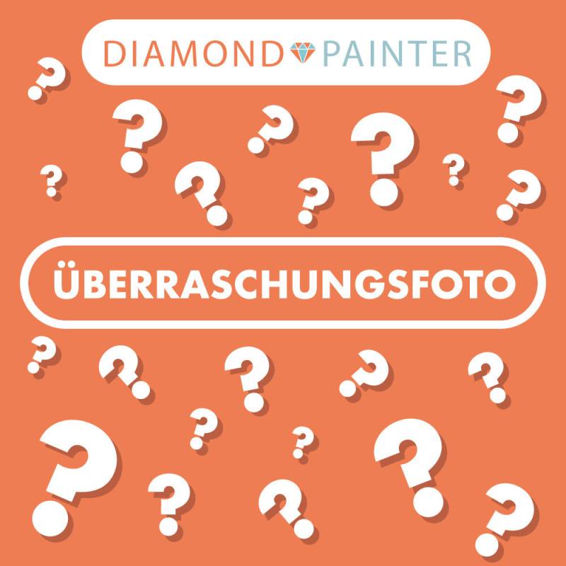 Überraschungsfoto | Diamond Painting von Diamond Painter