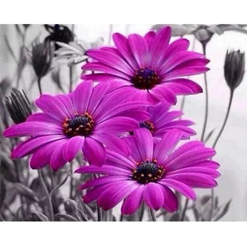 Violette Blumen von Diamond Painter