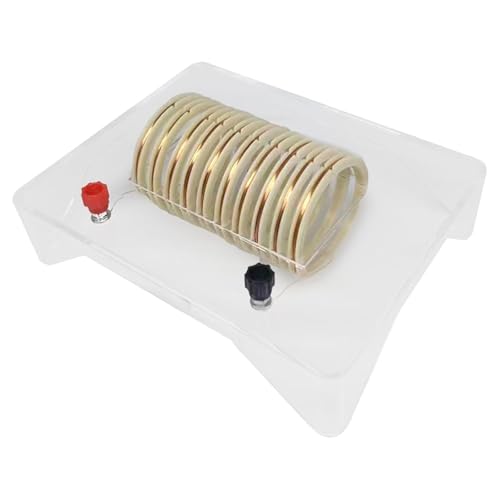 Dickly Elektromagnetisches Feld-Demonstrator-Physik-Experimentierset, Physik-Spielzeug, interaktives Lernmodell für den Unterricht Dickly Elektromagnetisches Feld-Demonstrator-Physik-Experimentierset, Physik-Spielzeug, interaktives Lernmodell für den Unterricht von Dickly