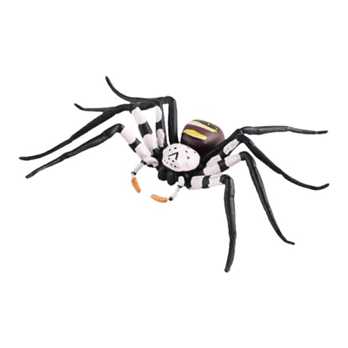 Dickly Handbemaltes Mini-Spinnenfigurenmodell, lebensechtes Spielzeug, realistische Spinnentierfigur für Kinder ab 3 Jahren, Lernspielzeug von Dickly