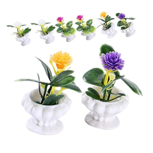 Didiseaon 8 Stück Teiliges Mini Pflanzen Künstliche Topfpflanzen Realistische Miniatur Gartendeko für Puppenhaus Mikro Landschaft Desktop Ornament Farben Je Didiseaon 8 Stück Teiliges Mini Pflanzen Künstliche Topfpflanzen Realistische Miniatur Gartendeko für Puppenhaus Mikro Landschaft Desktop Ornament Farben Je von Didiseaon