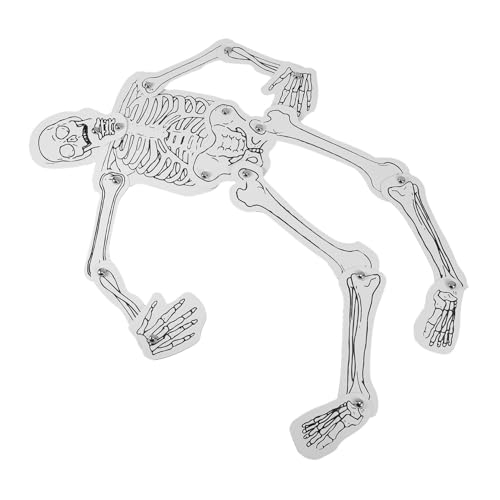 Didiseaon DIY Menschliches Skelett Bausatz Lernspielzeug Wissenschaftliches Bastelset für Schule Anatomieunterricht mit Komplettmaterialien für Interaktives Lernen Didiseaon DIY Menschliches Skelett Bausatz Lernspielzeug Wissenschaftliches Bastelset für Schule Anatomieunterricht mit Komplettmaterialien für Interaktives Lernen von Didiseaon