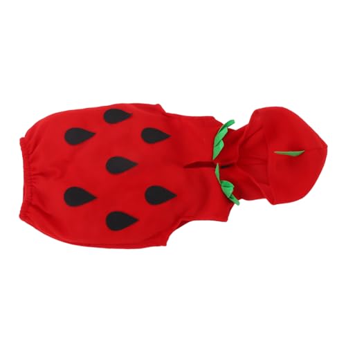 Didiseaon Erdbeerkostüm Für Kleinkinder – Halloween-erdbeerkostüm Für Mädchen, Süßes Frucht-outfit Mit Kleid, Hut Für Halloween, Cosplay-kleid, 6–7 Jahre Alt, Rot von Didiseaon