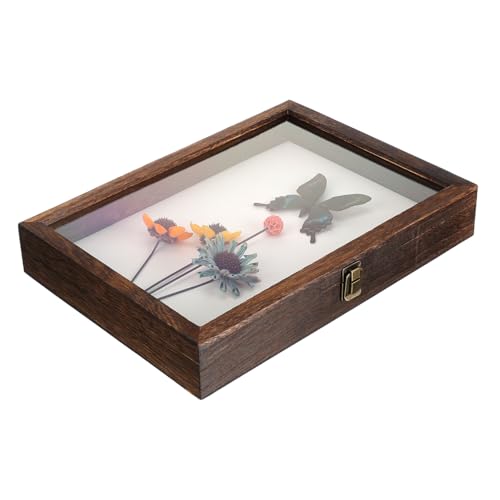 Didiseaon Kasten Muster Vitrine Rahmen Fall Sammlung Vitrine Anzeige Museum groß Präsentationsbox für Insektenpräparate Sammlerbox für Insekten gehäuse Musterkoffer Probenbehälter hölzern von Didiseaon