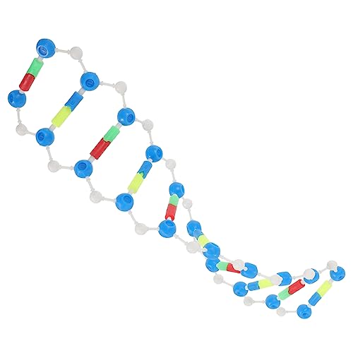 Didiseaon Doppelhelix DNA Modell Pädagogisches Lehrmittel Für Schulunterricht Selbstmontage Für Biologie Und Genetik Interaktives Lernspielzeug Für Schüler Und Studenten von Didiseaon
