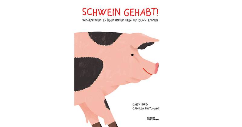 Buch - Schwein gehabt! von Die Gestalten Verlag