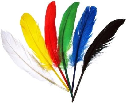 Indianerfedern bunt 12-15 cm 20 St. Federn Indianerfedern bunt 12-15 cm 20 St. Federn von Die Ideenwelt