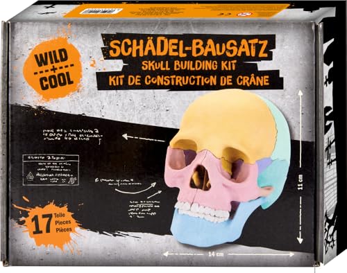 Die Spiegelburg - Schädel-Bausatz - Wild+Cool Die Spiegelburg - Schädel-Bausatz - Wild+Cool von Die Spiegelburg